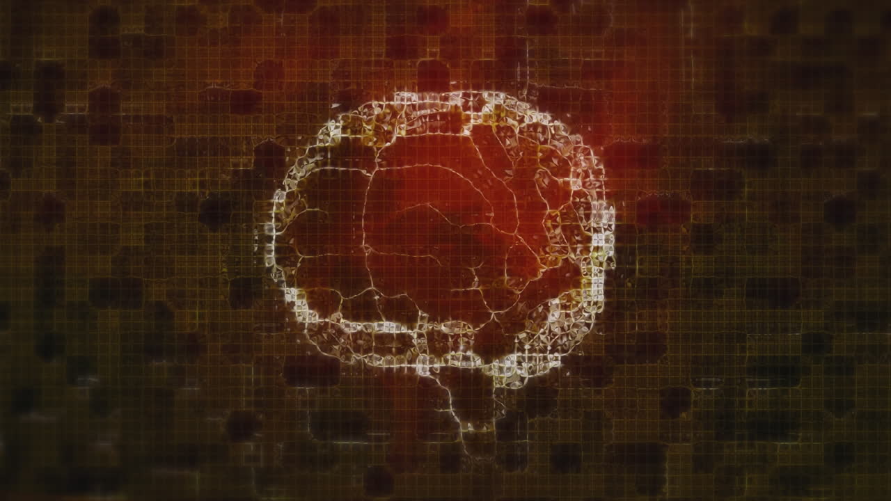 animación de puntos de conexiones y cerebro sobre ondas rojas