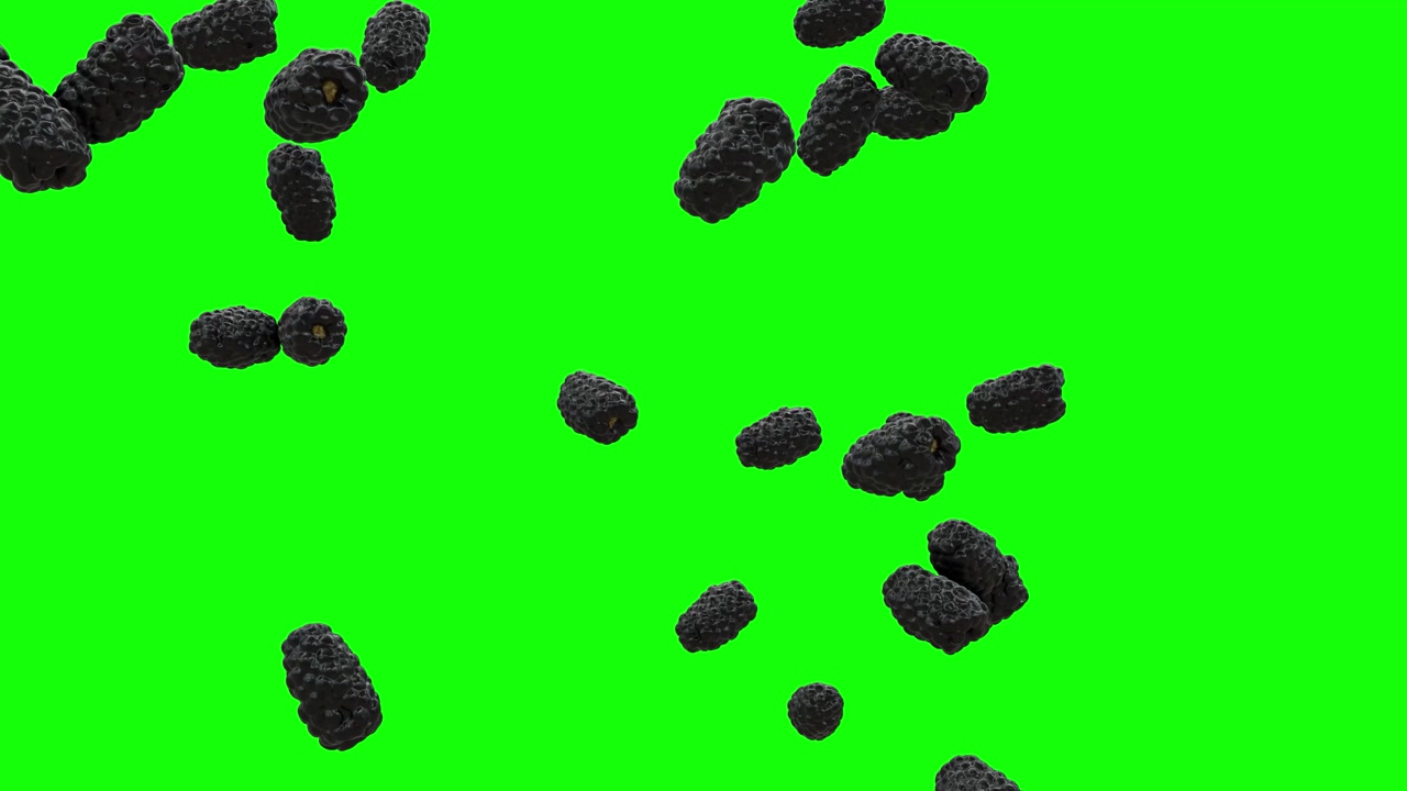 Organic Blackberries Falling on Green Screen With Alpha Matte in 4K
