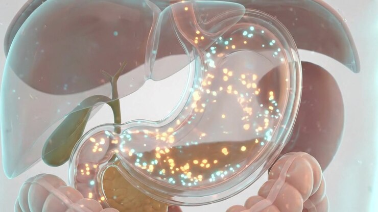 3D Medical Animation of Human Stomach Digestion Process