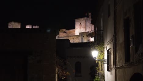 view of the alhambra from the streets of albaicin during the night