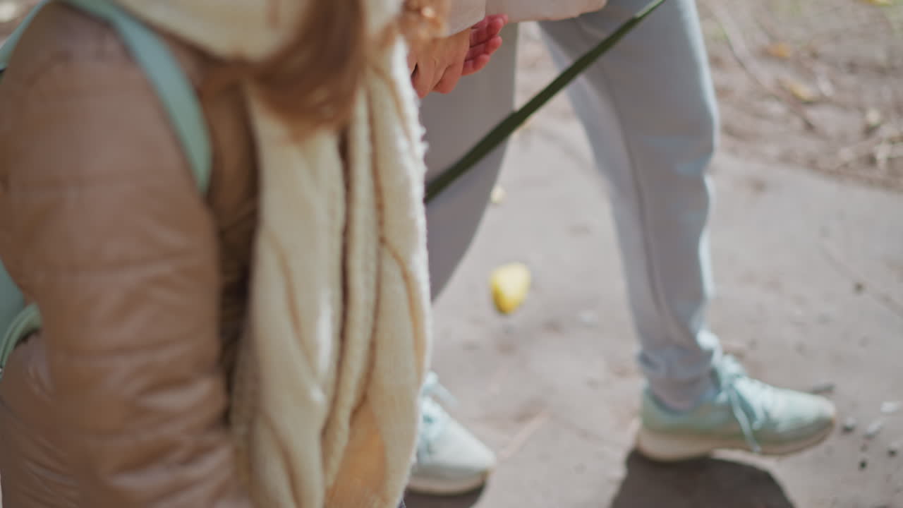 close up of owner and dog walking along park road strewn with autumn leaves wearing jacket scarf sneakers on pavement under cloudy sky capturing friendly stroll moment during fall outing