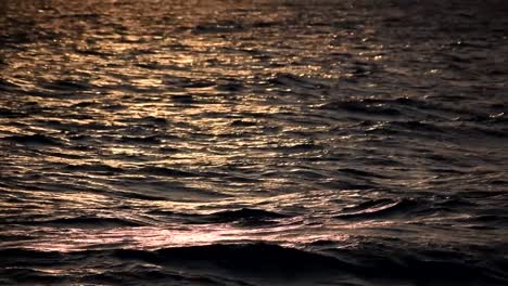 beautiful waves passing by at dawn on garda lake moved by wind, on garda lake in the north of italy