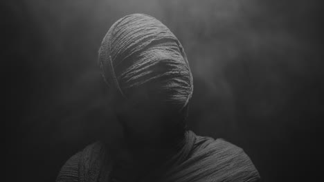 a mummy of a woman on a dark backdrop rises  and then turns her head