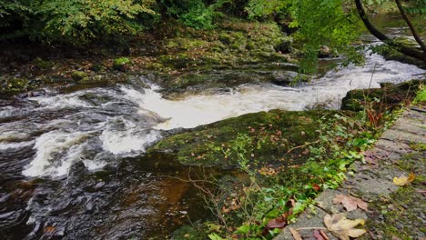 River-Tavy-boring-downstream-between-rocks-and-boulders-in-the-small-Devonshire-town-of-Tavistock-in-the-United-Kingdom