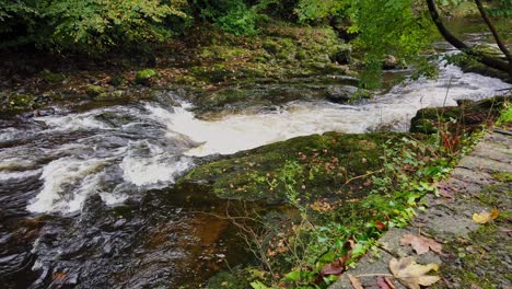 el río tavy perforando río abajo entre rocas y cantos rodados en la pequeña ciudad de devonshire de tavistock en el reino unido