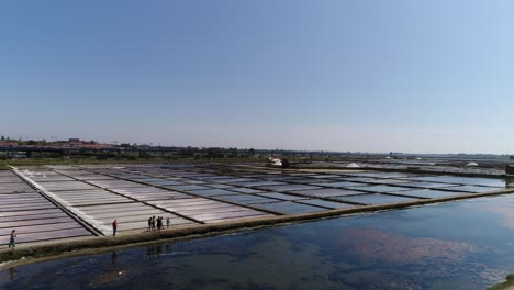 Saline-on-Aveiro-in-Portugal