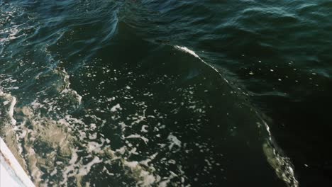 Olas-En-El-Océano-Pacífico,-Navegación-A-Vela,-Paseos-En-Bote