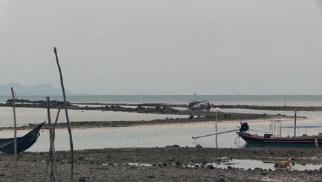 Un-Pequeño-Barco-Turístico-Tailandés-Entra-En-Una-Bahía-Local-A-Través-De-Una-Calle-Rocosa-Con-Marea-Baja,-Perros-Jugando-En-Pequeños-Charcos-De-Agua