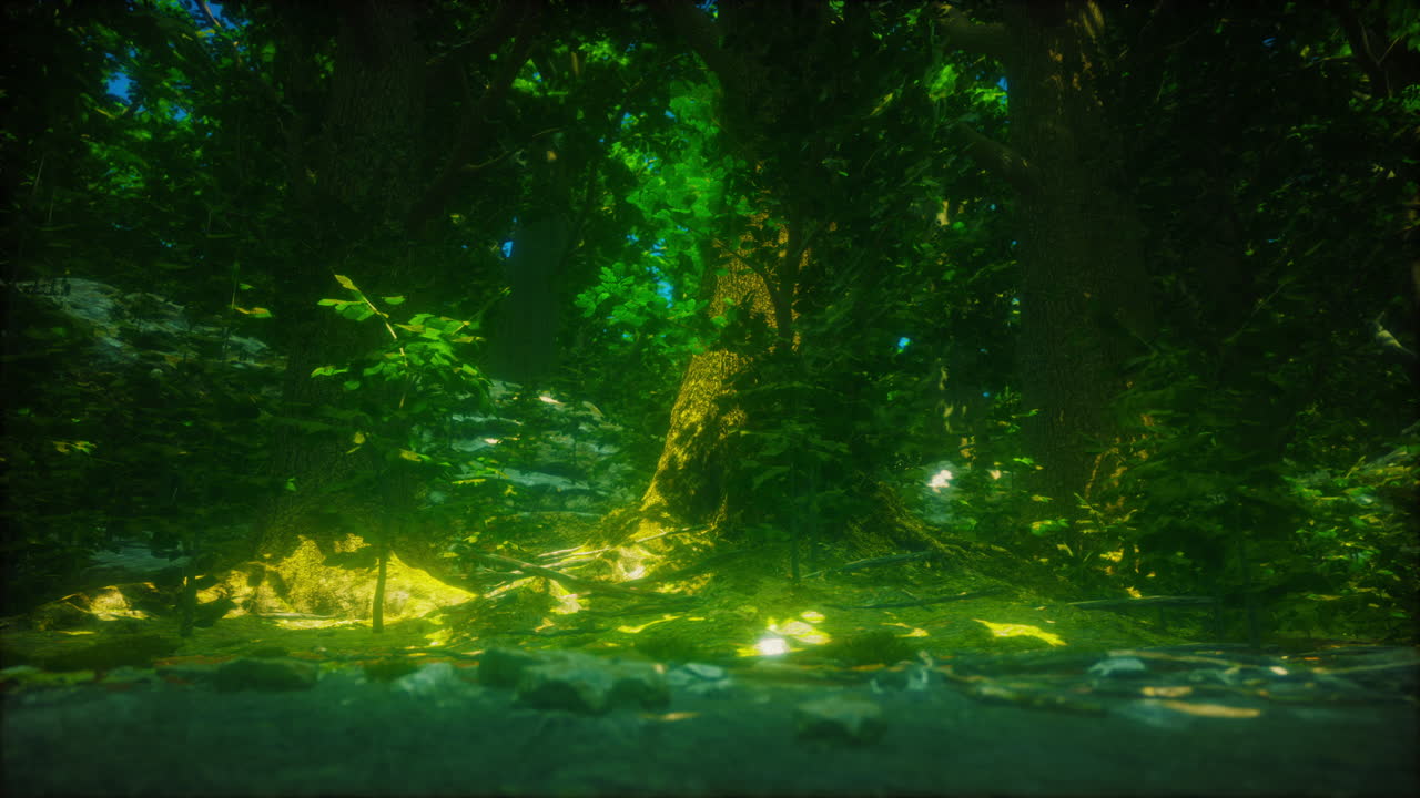 hermoso musgo verde en el suelo en el bosque