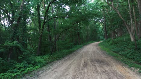 Imagen-Cinematográfica-De-Un-Bosque-Americano-En-Lo-Profundo-De-La-Nada-Durante-Un-Caluroso-Y-Soleado-Día-De-Verano.