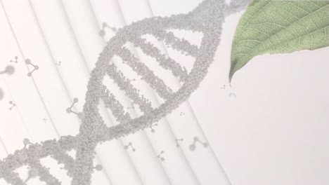 animation of molecules and dna strand over leaf on white background