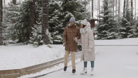 couple ice skating in snowy park