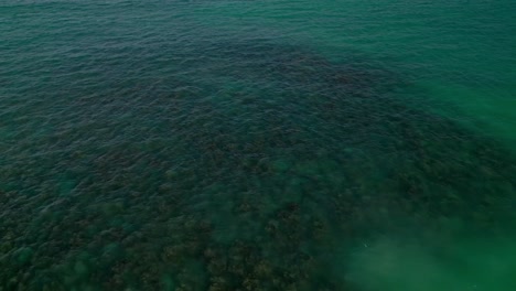 Coral-Reef-Under-Clear-Turquoise-Water-In-Oahu,-Hawaii