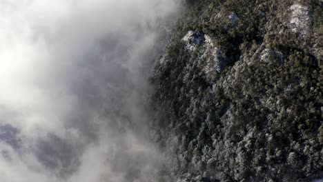 vista aérea por encima de las nubes sobre el frío bosque de montaña cubierto de nieve