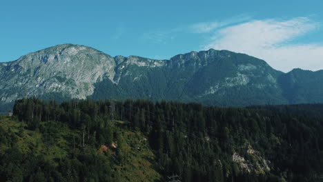 mountain landscape with forest