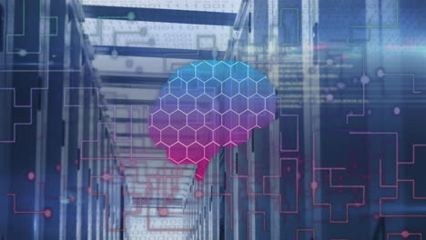 animación del cerebro humano, conexiones y procesamiento de datos a través de placas de circuitos y servidores.