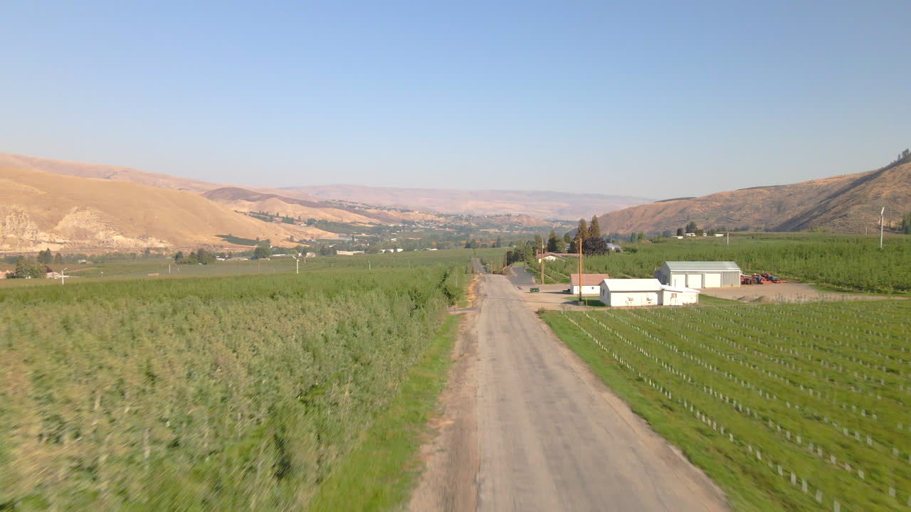 ワナチー渓谷のリンゴ園、果物農園の空撮