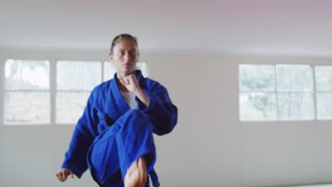 karateka pateando en el aire