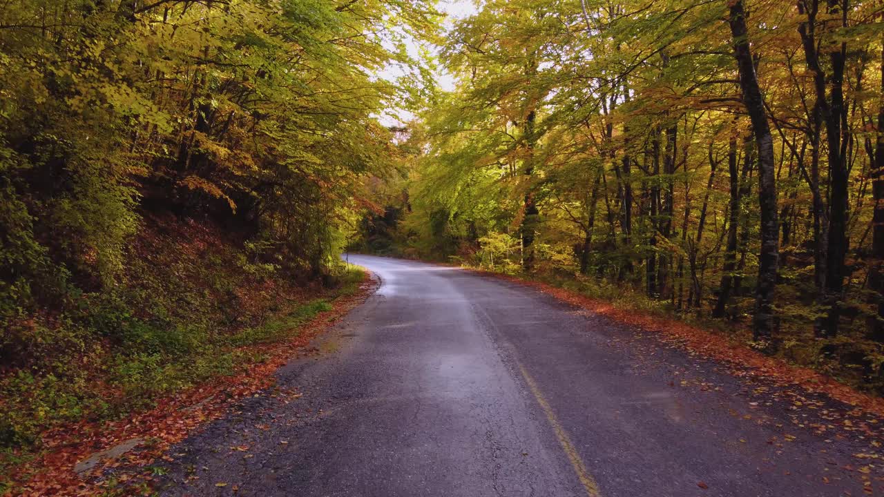 View of a road in forest at the top of a mountain