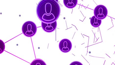 animación de la red de conexiones con los iconos de las personas en fondo blanco