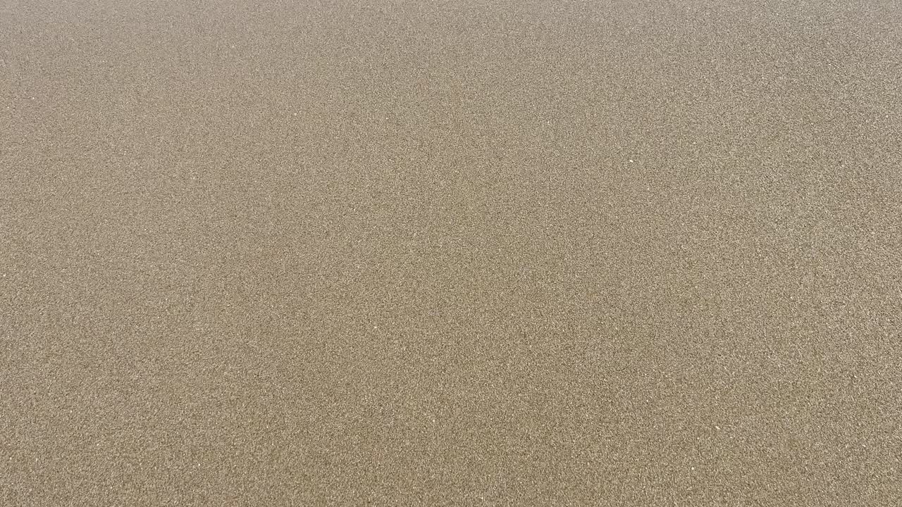 바다 의 파도 들 의 전망