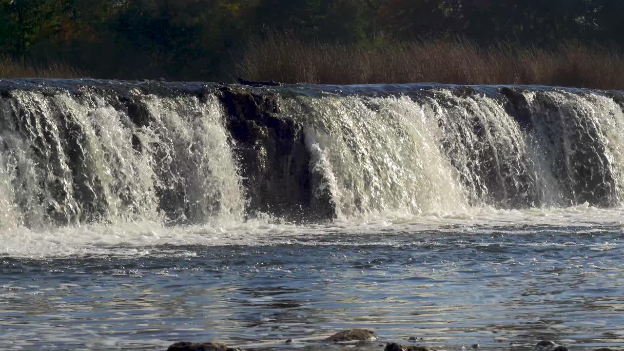 Venta river Rapid wide shot, the widest waterfall in Europe in sunny autumn day, located in Kuldiga city, Latvia
