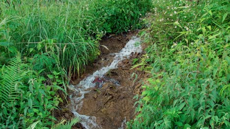 Wasserfälle-Entlang-Der-Berge-Fließen-Auf-Natürliche-Weise-Um-Die-Grünfläche