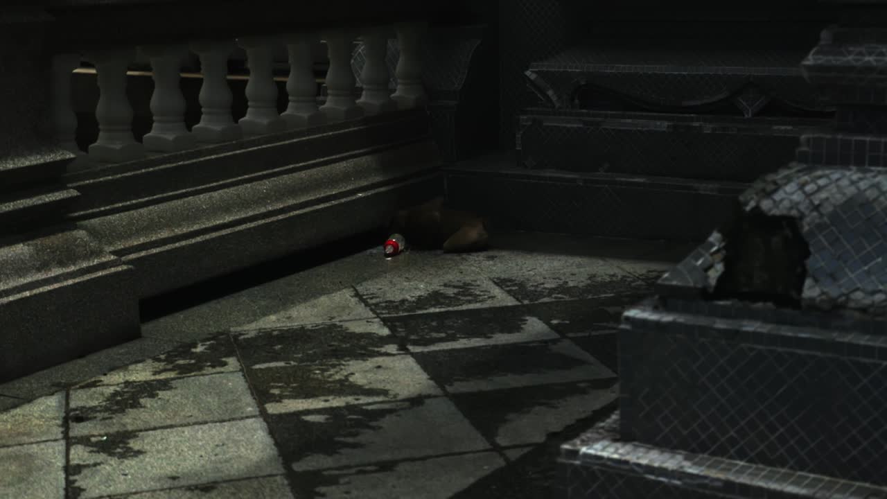 사원에서 원숭이를보고