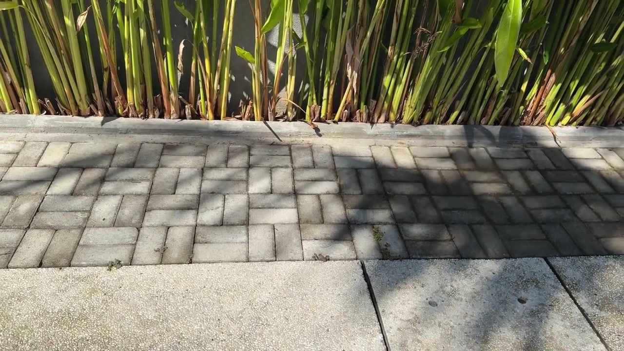 Sunlight and Shifting Shadows on a Paved Outdoor Path