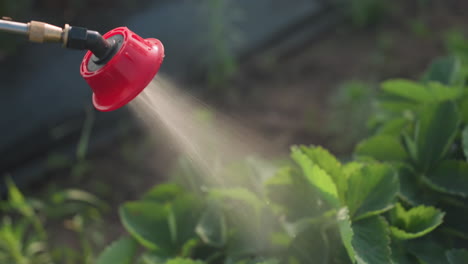 top view of red nozzle spraying fine fumigation mist over green leaves in sunny field, protective pesticide application creating shimmering droplets on foliage for crop care and pest control