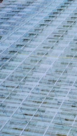 flying over a glass greenhouse. with vegetables large industrial greenhouses. vertical video