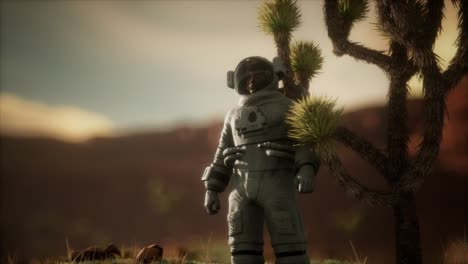 astronauta en el alto desierto de nevada