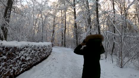 Joven-Mujer-Con-Estilo-Paseando-Por-El-Bosque-Del-País-De-Las-Maravillas-De-Invierno-Con-Leña-Cubierta-De-Nieve-Durante-El-Invierno-En-Baviera,-Alemania