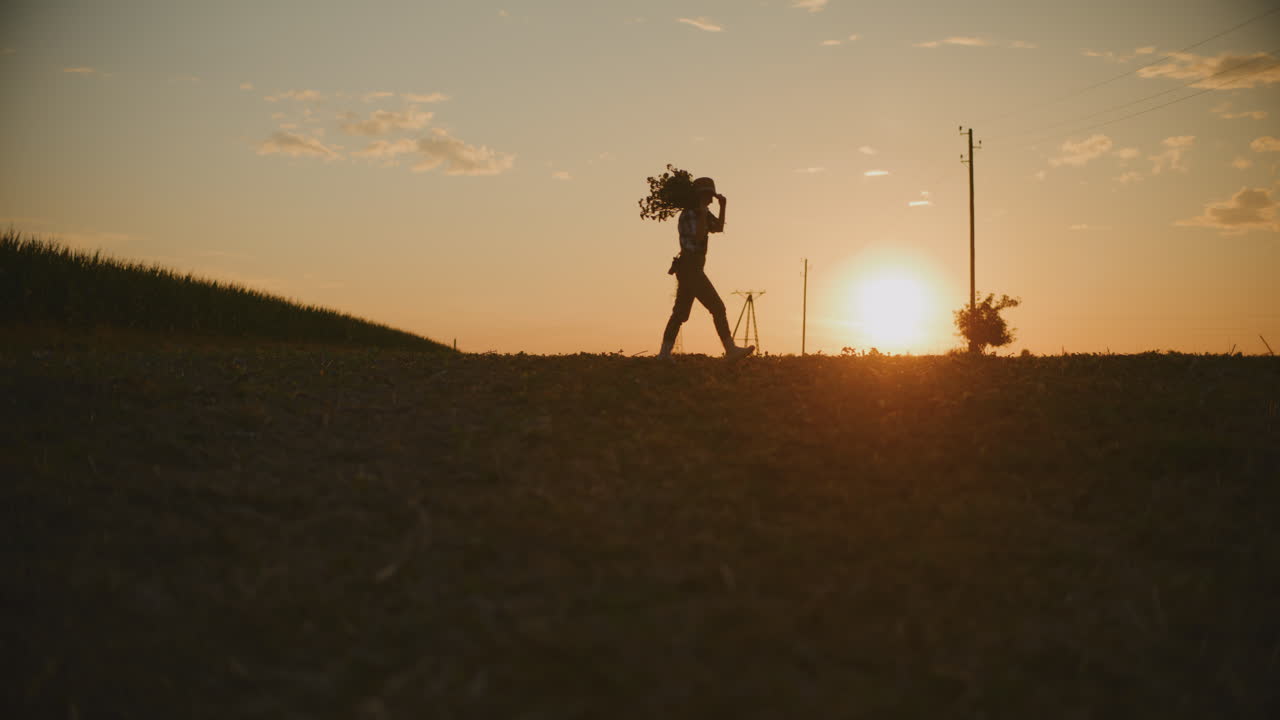 Silhouette of a Farmer Carrying a Harvest at Sunset