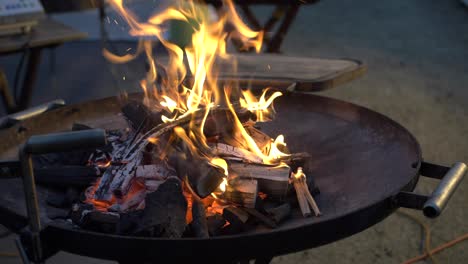 barbecue in slow motion