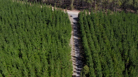 aerial view of atv quads, on a dirt road, in forests of south australia - pull back, drone shot