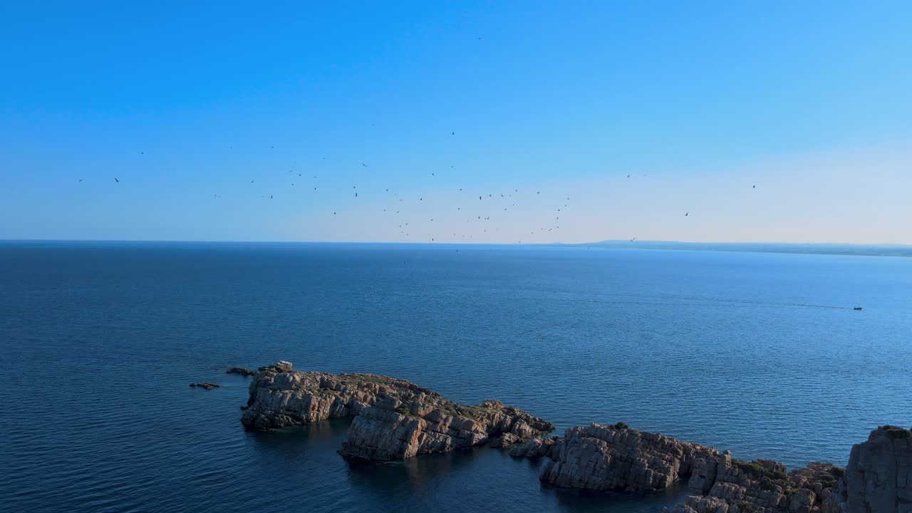 A breathtaking view of rocky cliffs jutting into the deep blue sea, with seagulls gracefully soaring overhead, capturing the serene beauty of Tunisia's coastal landscape.