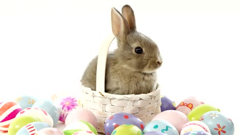 huevos de pascua y conejo de pascua en una canasta de mimbre
