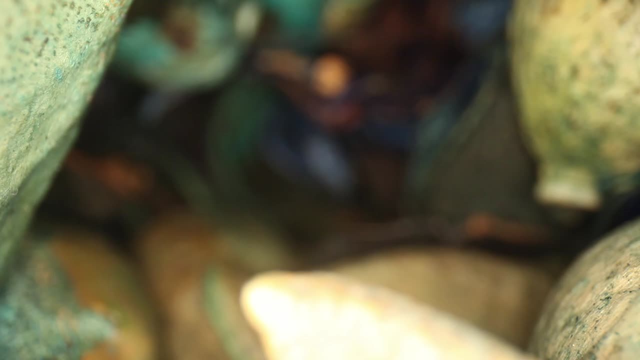 enfoque estrecho en los bordes de las coloridas piezas de popurrí que se mueven fuera del jarrón