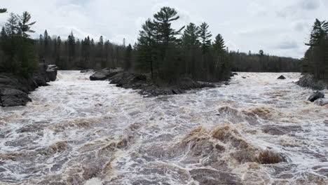 flooded saint louis river in jay cooke state park