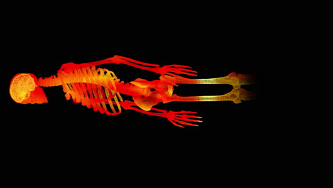 Pantalla-Frontal-Futurista-Elemento-De-Movimiento-Escaneo-Holográfico-Biomédico-Virtual-Del-Cuerpo-Humano-Examen-Neurológico,-Esqueleto-Axial,-Columna-Vertebral,-Adn-Y-Diagnóstico-Cardíaco-Para-Visualización-De-Fondo