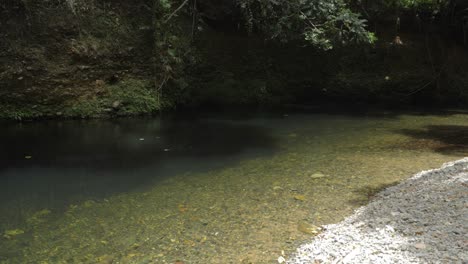 Río-De-La-Selva-Tropical-De-Emmagen-Creek-En-El-Parque-Nacional-De-Daintree,-Tribulación-Del-Cabo,-Queensland,-Australia