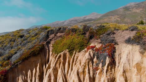 foque de la costa de california hacia arriba a las montañas y campos coloridos