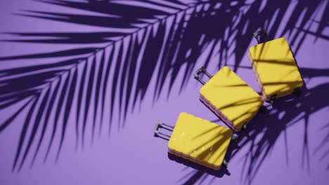 maletas sobre un fondo púrpura tropical