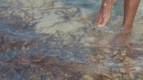 Los-Tobillos-Y-Pies-Desnudos-De-Una-Persona-Negra-Que-Camina-Entre-Las-Plantas-Acuáticas-En-El-Océano-Con-Marea-Baja