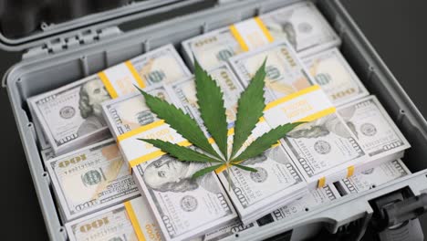 cannabis leaf on stacks of hundred dollar bills in a briefcase