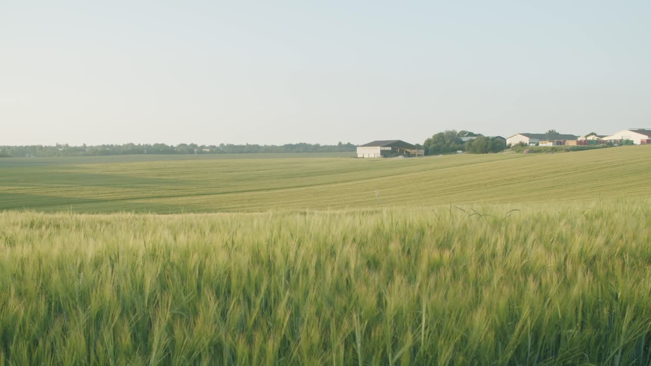 Wide shot of a field with industrial farming buildings in the background