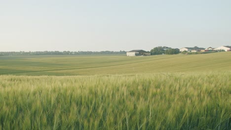 Wide-shot-of-a-field-with-industrial-farming-buildings-in-the-background