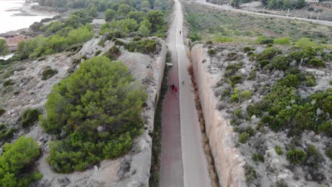 couple walks with dogs along a path made between a rock cliff and vegetation on the sides with zoom in