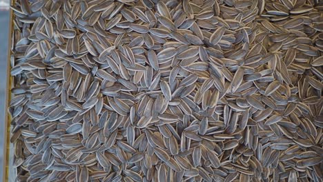 sunflower seeds